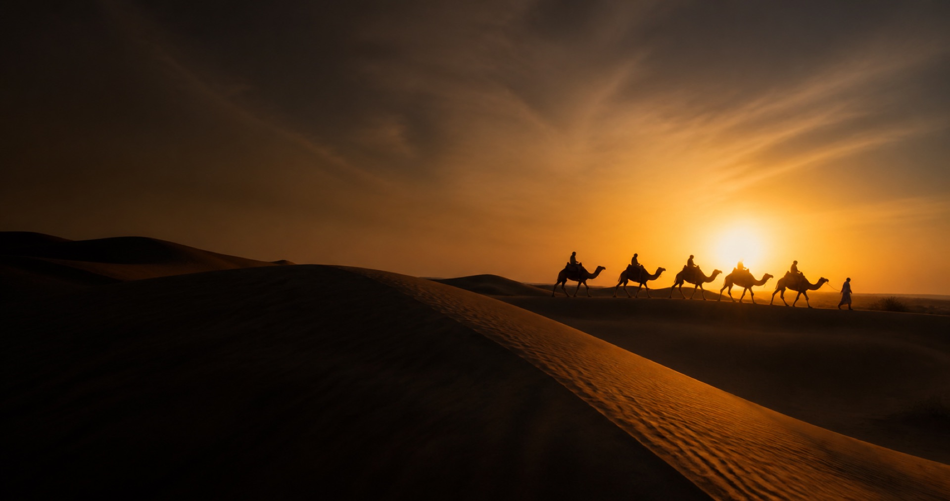 Camel caravan silhouettes crossing desert dunes at sunset